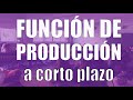 Preguntas competenciales “producción a corto plazo”